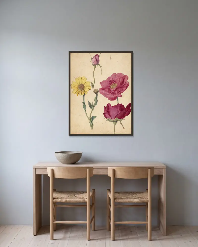 A Sheet of Studies with French Roses and an Oxeye Daisy av Jacques Le Moyne de Morgues inramad på en vägg