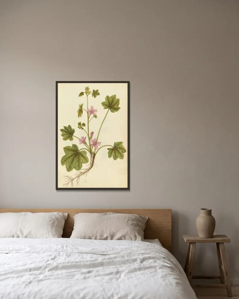 Malva sylvestris. Common mallow av Jacques Le Moyne de Morgues inramad på en vägg