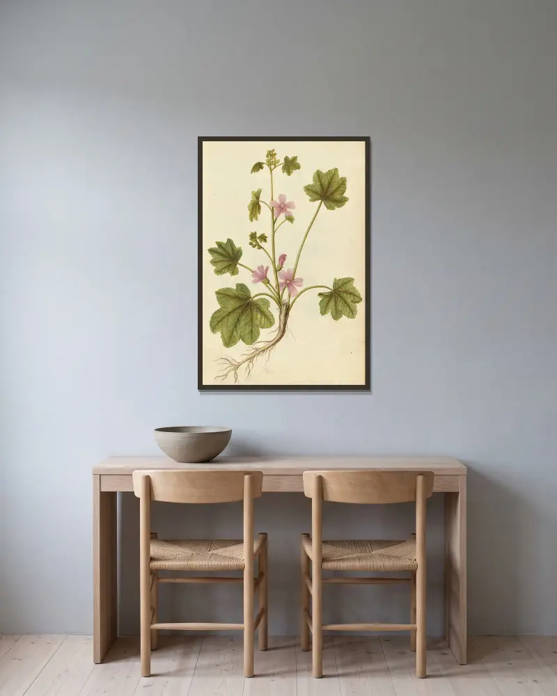 Malva sylvestris. Common mallow av Jacques Le Moyne de Morgues inramad på en vägg