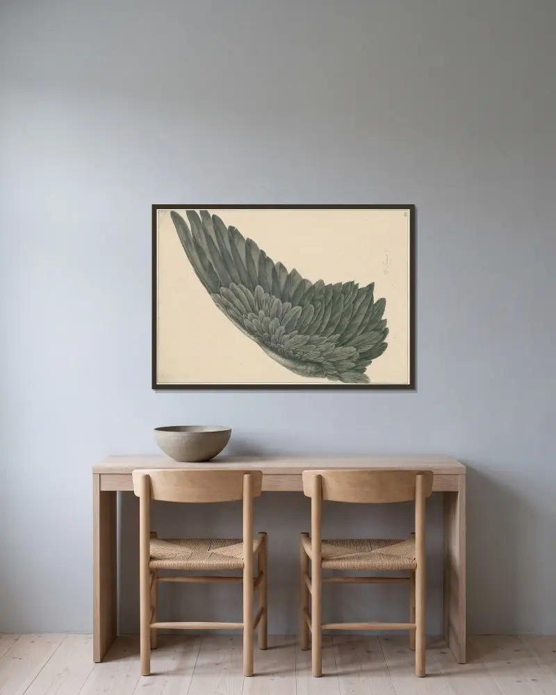 Fågelvinge (vänster) 'ad vivum' av David Humbert de Superville inramad på en vägg