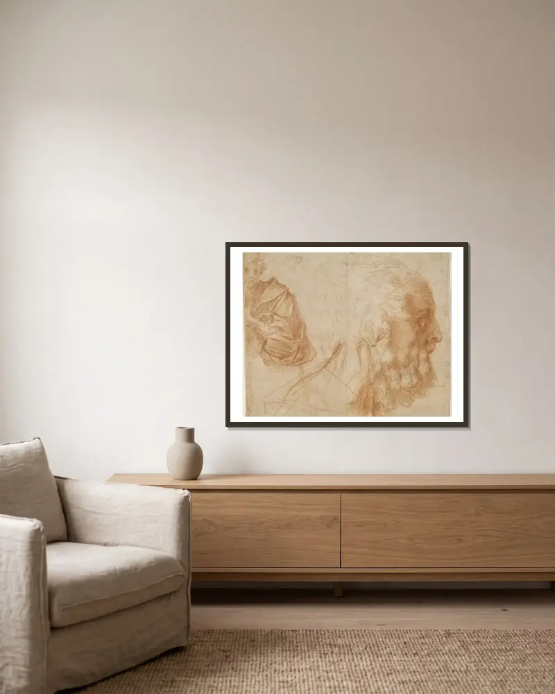 Sheet of studies with a youth and the head of an old man looking to the right av Andrea del Sarto inramad på en vägg