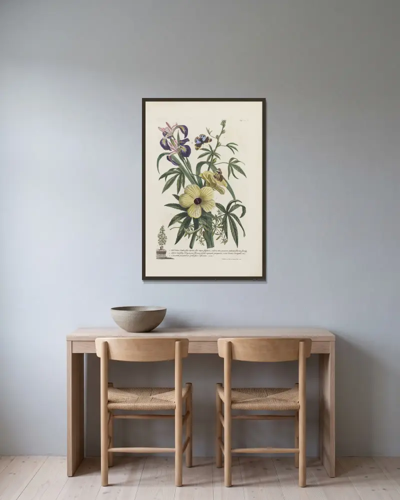 1.Ketmia 2.Iris 3.Alsine av Georg Dionysius Ehret inramad på en vägg