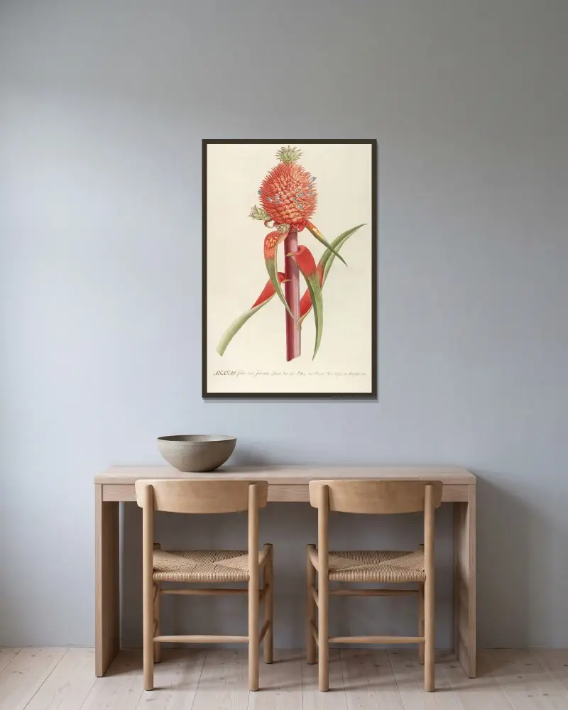 Ananas II von Georg Dionysius Ehret gerahmt an einer Wand