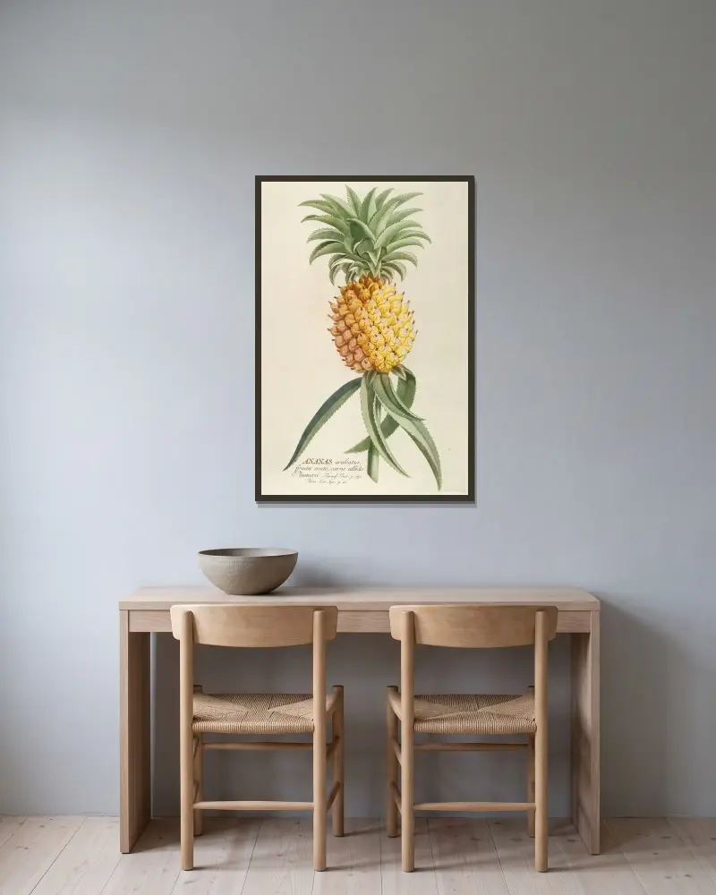 Ananas von Georg Dionysius Ehret gerahmt an einer Wand