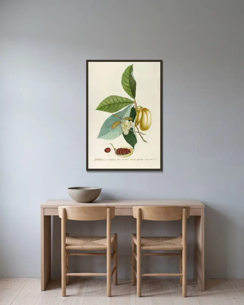 Anona von Georg Dionysius Ehret gerahmt an einer Wand