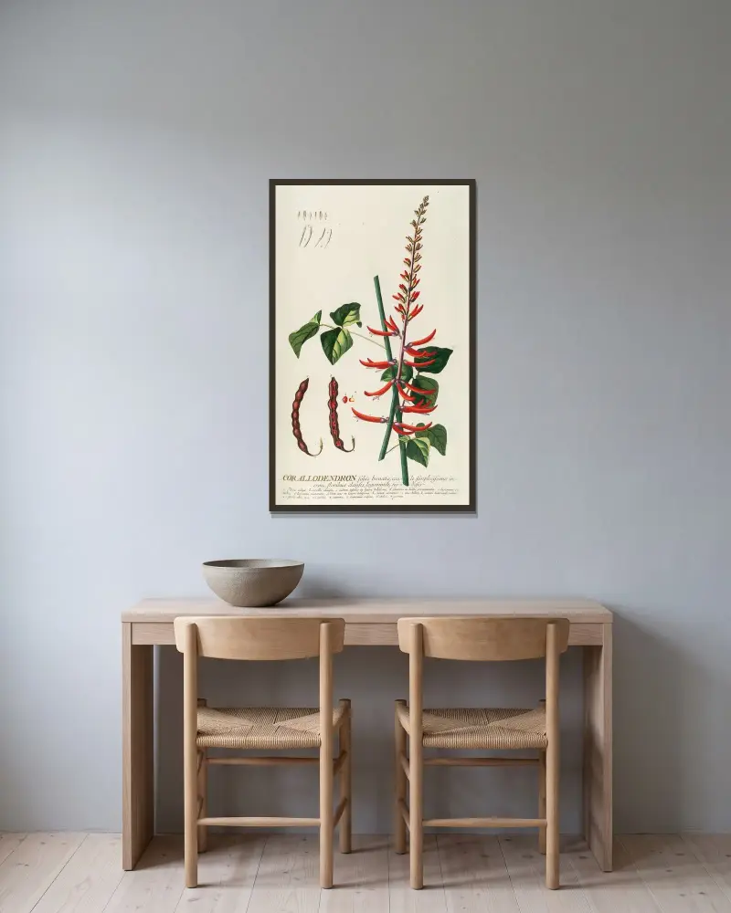 Corallodendron II von Georg Dionysius Ehret gerahmt an einer Wand