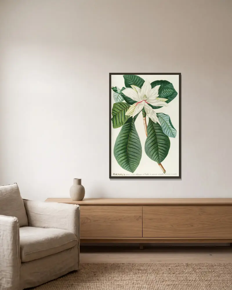 Magnolia III, Georg Dionysius Ehret w ramie na ścianie