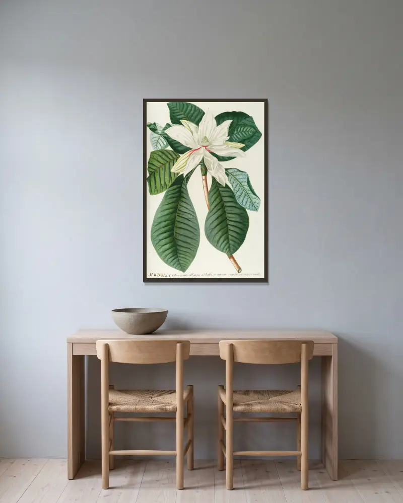 Magnolia III, Georg Dionysius Ehret w ramie na ścianie