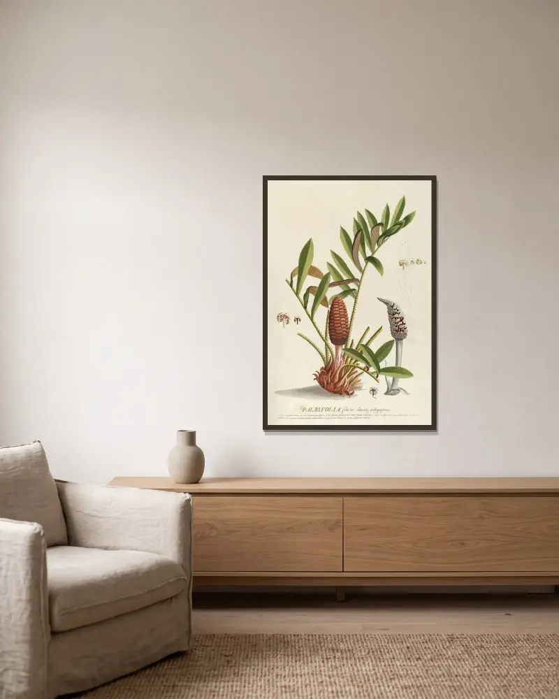 Palmifolia von Georg Dionysius Ehret gerahmt an einer Wand