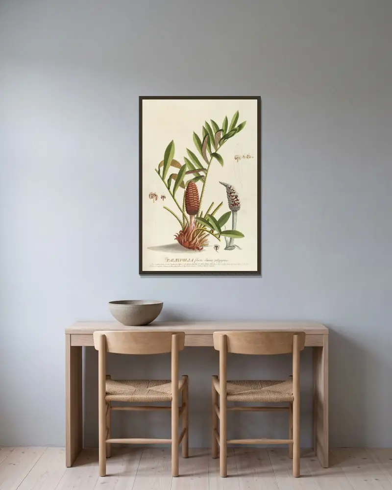 Palmifolia von Georg Dionysius Ehret gerahmt an einer Wand