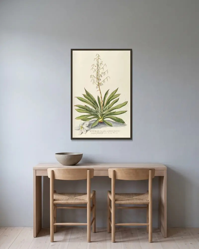 Yucca von Georg Dionysius Ehret gerahmt an einer Wand