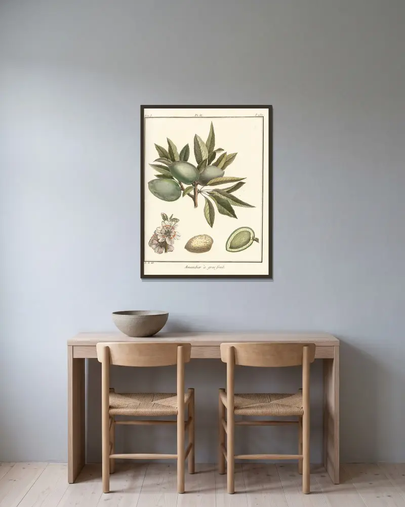 Traité des arbres fruitiers Pl.02 av Henri-Louis Duhamel du Monceau inramad på en vägg