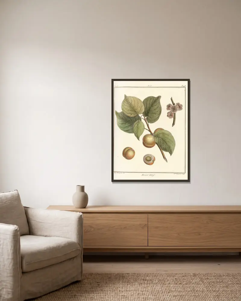 Traité des arbres fruitiers Pl.05 av Henri-Louis Duhamel du Monceau inramad på en vägg