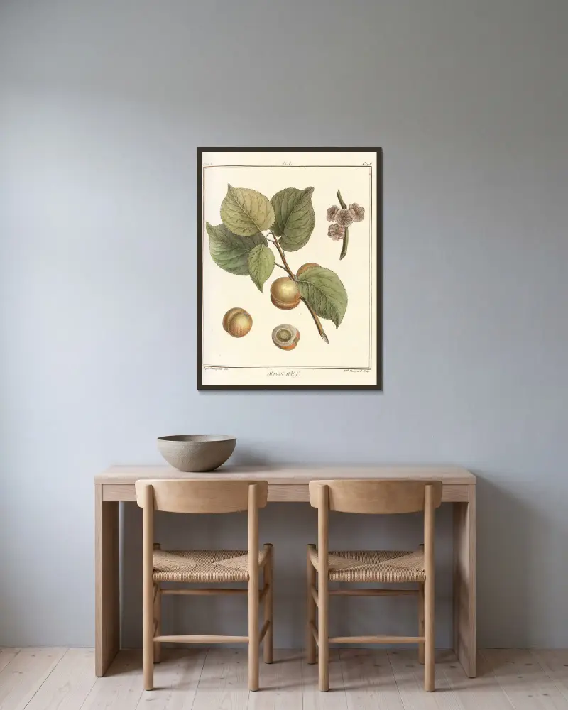 Traité des arbres fruitiers Pl.05 av Henri-Louis Duhamel du Monceau inramad på en vägg