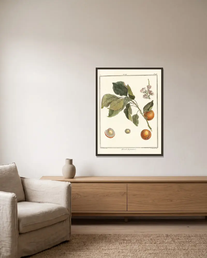 Traité des arbres fruitiers Pl.07 av Henri-Louis Duhamel du Monceau inramad på en vägg