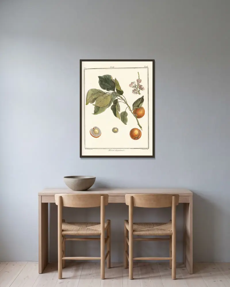 Traité des arbres fruitiers Pl.07 av Henri-Louis Duhamel du Monceau inramad på en vägg
