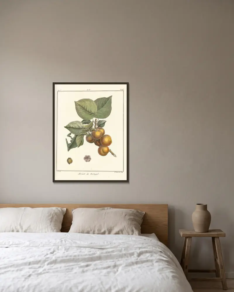 Traité des arbres fruitiers Pl.09 av Henri-Louis Duhamel du Monceau inramad på en vägg