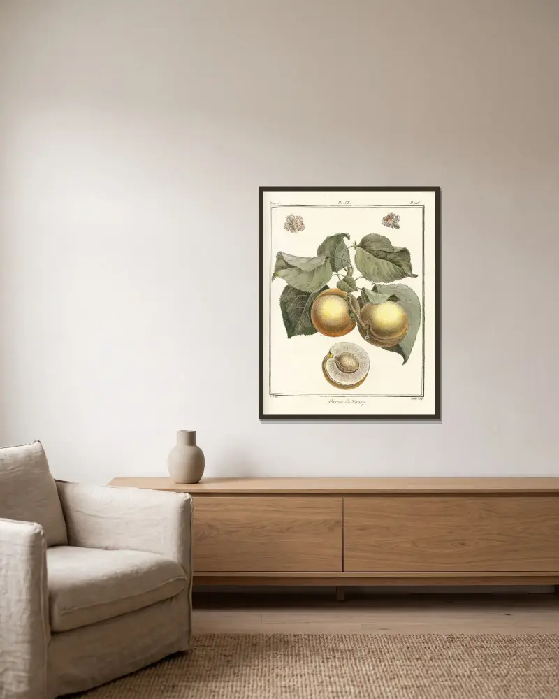 Traité des arbres fruitiers Pl.10 av Henri-Louis Duhamel du Monceau inramad på en vägg