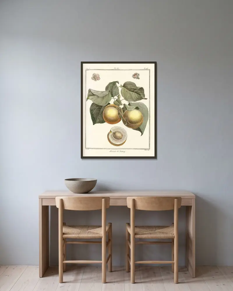 Traité des arbres fruitiers Pl.10 av Henri-Louis Duhamel du Monceau inramad på en vägg