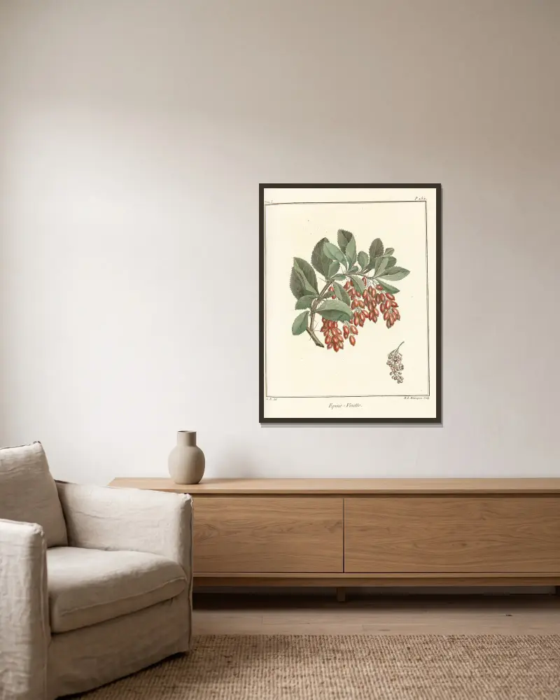 Traité des arbres fruitiers Pl.11 av Henri-Louis Duhamel du Monceau inramad på en vägg