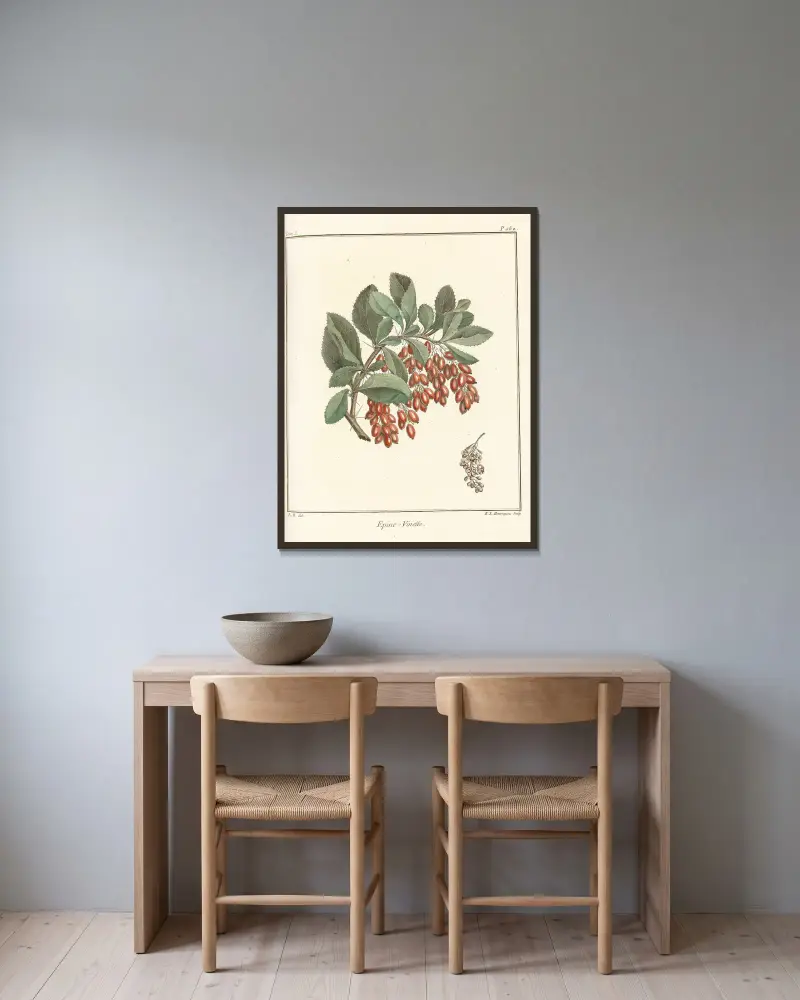 Traité des arbres fruitiers Pl.11 av Henri-Louis Duhamel du Monceau inramad på en vägg