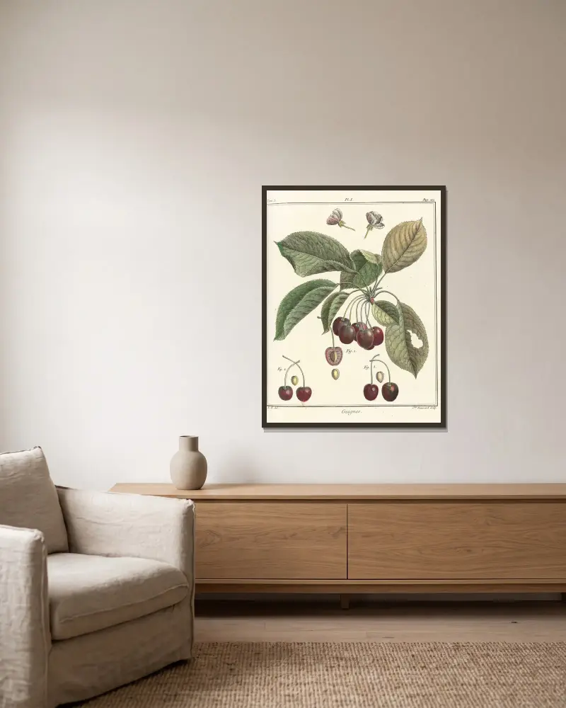 Traité des arbres fruitiers Pl.12 av Henri-Louis Duhamel du Monceau inramad på en vägg