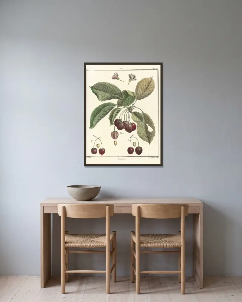 Traité des arbres fruitiers Pl.12 av Henri-Louis Duhamel du Monceau inramad på en vägg