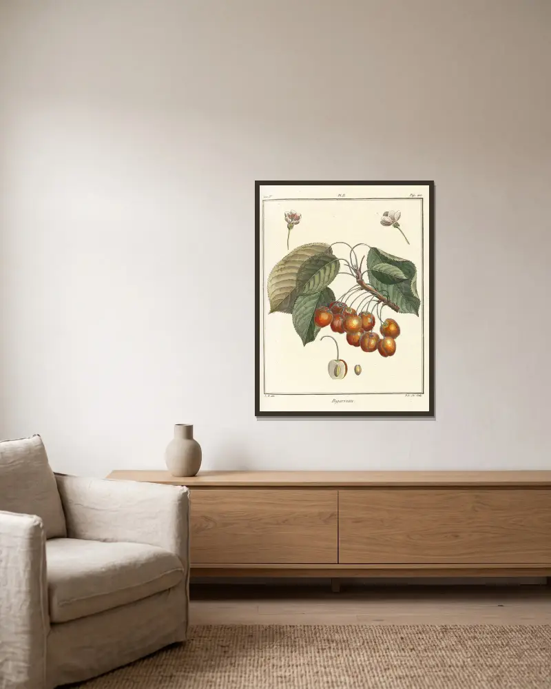 Traité des arbres fruitiers Pl.13 av Henri-Louis Duhamel du Monceau inramad på en vägg