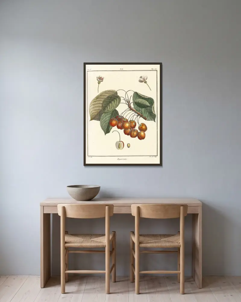 Traité des arbres fruitiers Pl.13 av Henri-Louis Duhamel du Monceau inramad på en vägg