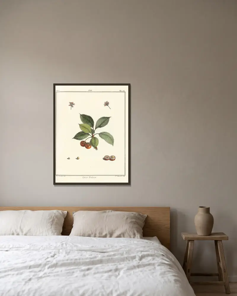 Traité des arbres fruitiers Pl.14 av Henri-Louis Duhamel du Monceau inramad på en vägg