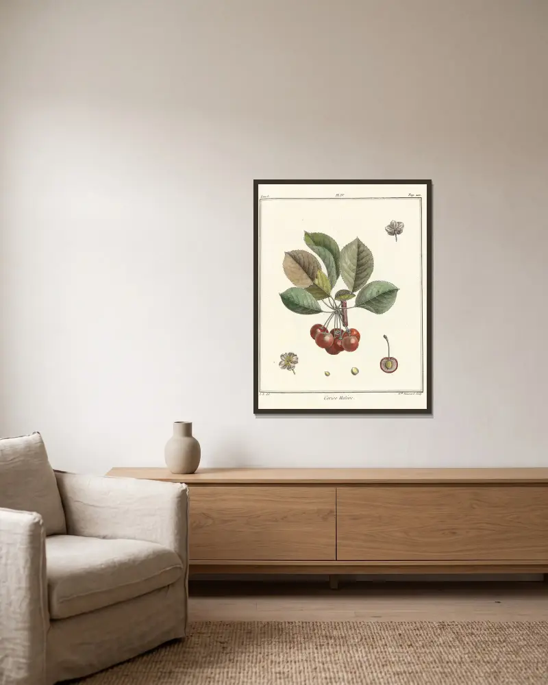 Traité des arbres fruitiers Pl.15 av Henri-Louis Duhamel du Monceau inramad på en vägg