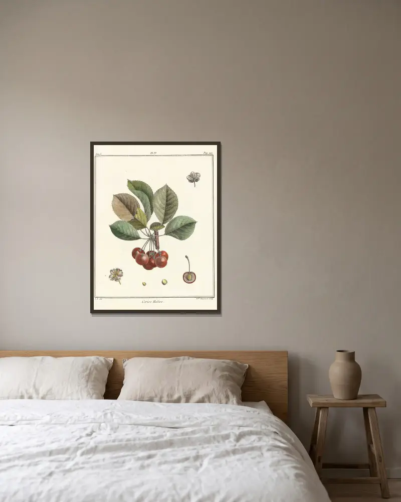 Traité des arbres fruitiers Pl.15 av Henri-Louis Duhamel du Monceau inramad på en vägg