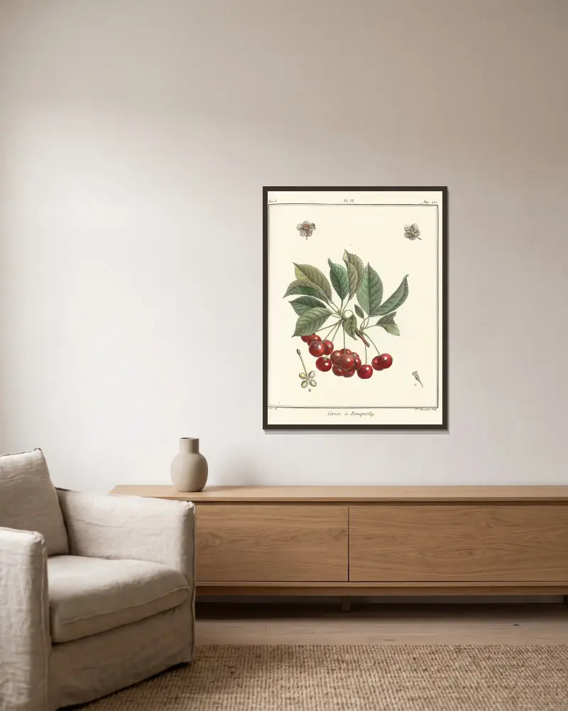 Traité des arbres fruitiers Pl.17 av Henri-Louis Duhamel du Monceau inramad på en vägg