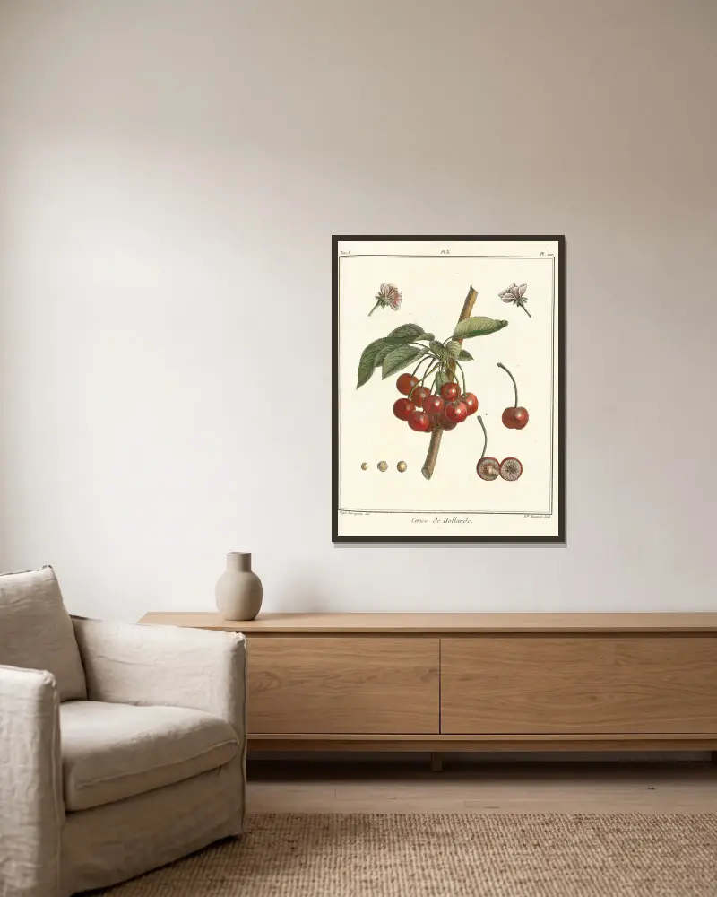 Traité des arbres fruitiers Pl.21 av Henri-Louis Duhamel du Monceau inramad på en vägg