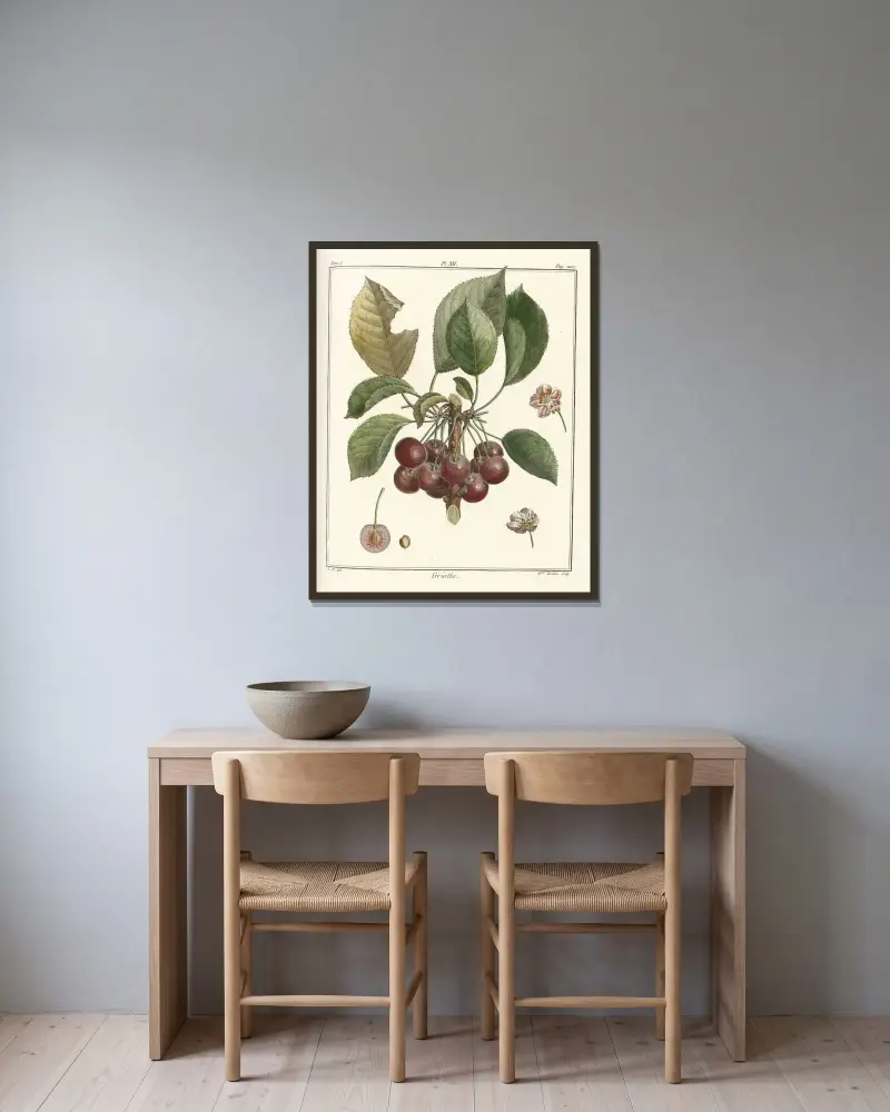 Traité des arbres fruitiers Pl.23 av Henri-Louis Duhamel du Monceau inramad på en vägg
