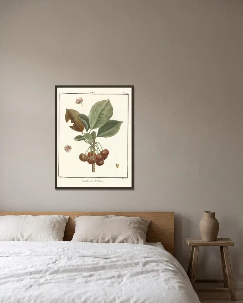 Traité des arbres fruitiers Pl.24 av Henri-Louis Duhamel du Monceau inramad på en vägg