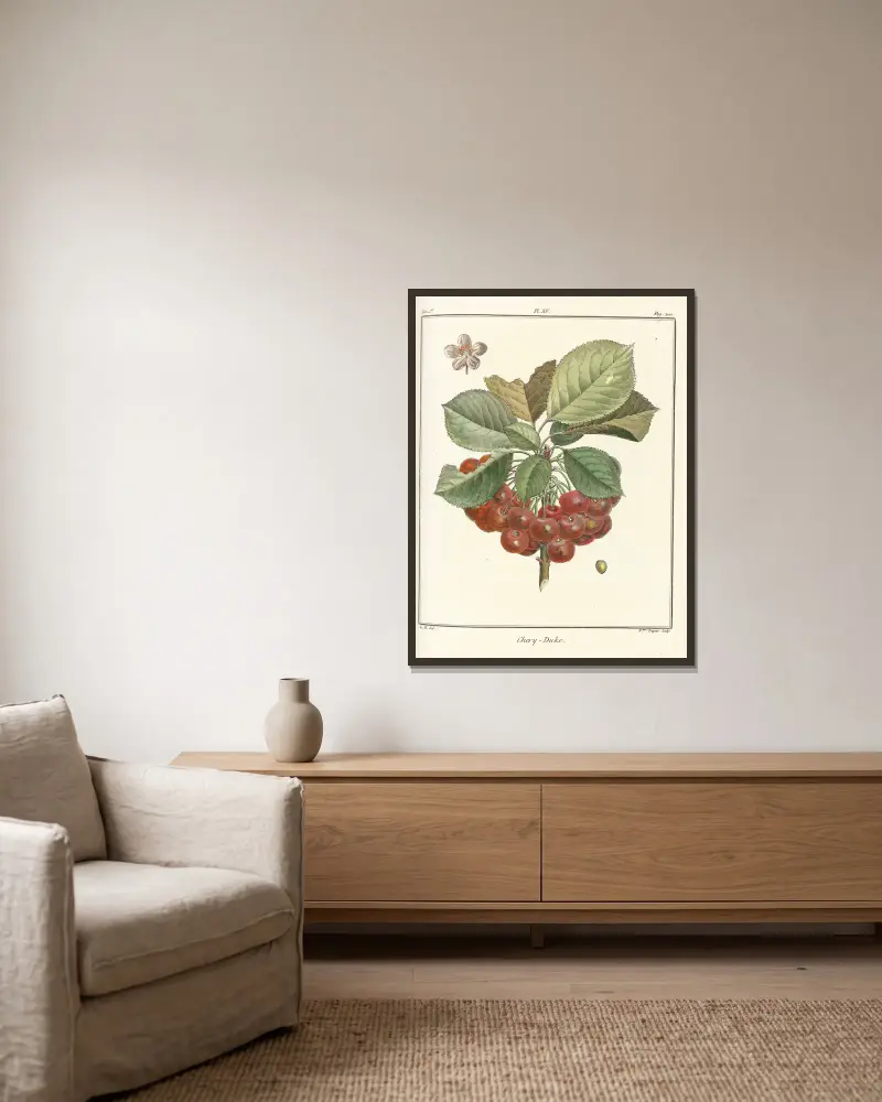 Traité des arbres fruitiers Pl.26 av Henri-Louis Duhamel du Monceau inramad på en vägg