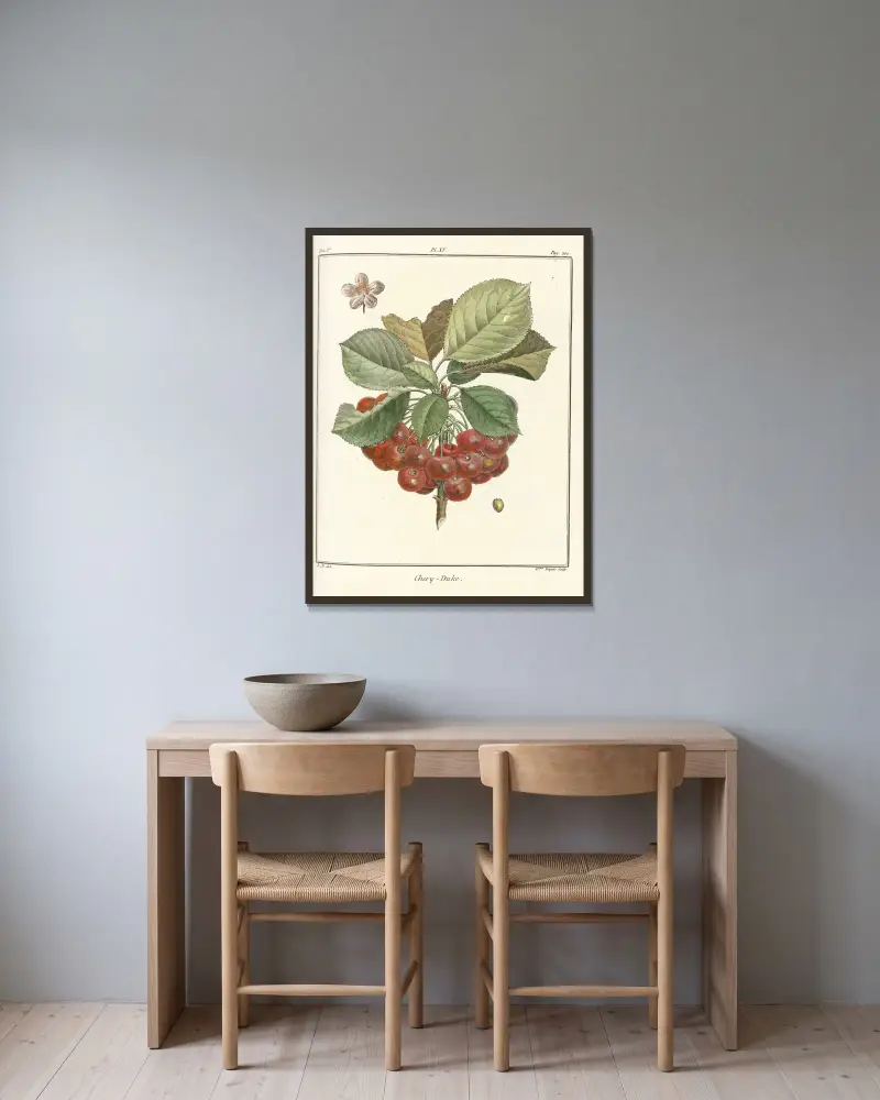 Traité des arbres fruitiers Pl.26 av Henri-Louis Duhamel du Monceau inramad på en vägg