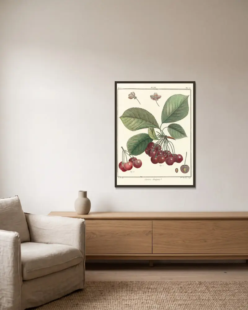 Traité des arbres fruitiers Pl.27 av Henri-Louis Duhamel du Monceau inramad på en vägg