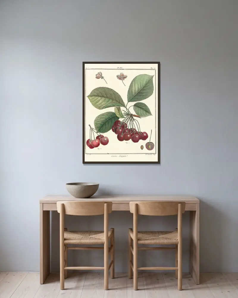 Traité des arbres fruitiers Pl.27 av Henri-Louis Duhamel du Monceau inramad på en vägg
