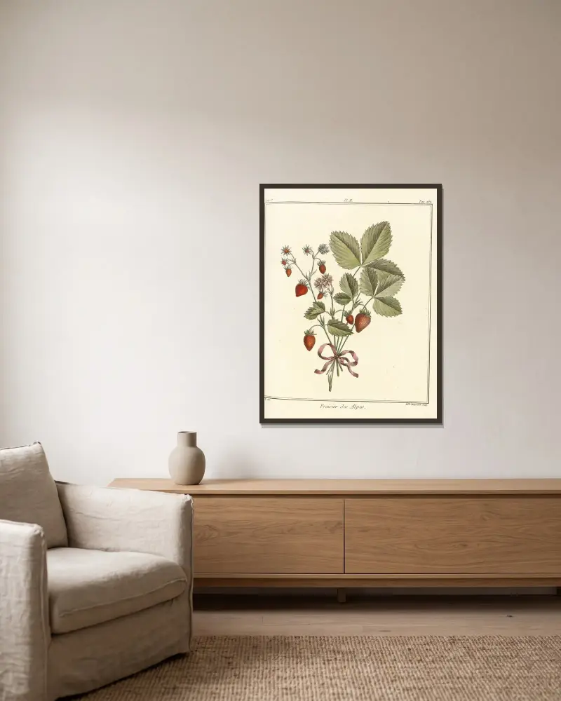 Traité des arbres fruitiers Pl.32 av Henri-Louis Duhamel du Monceau inramad på en vägg