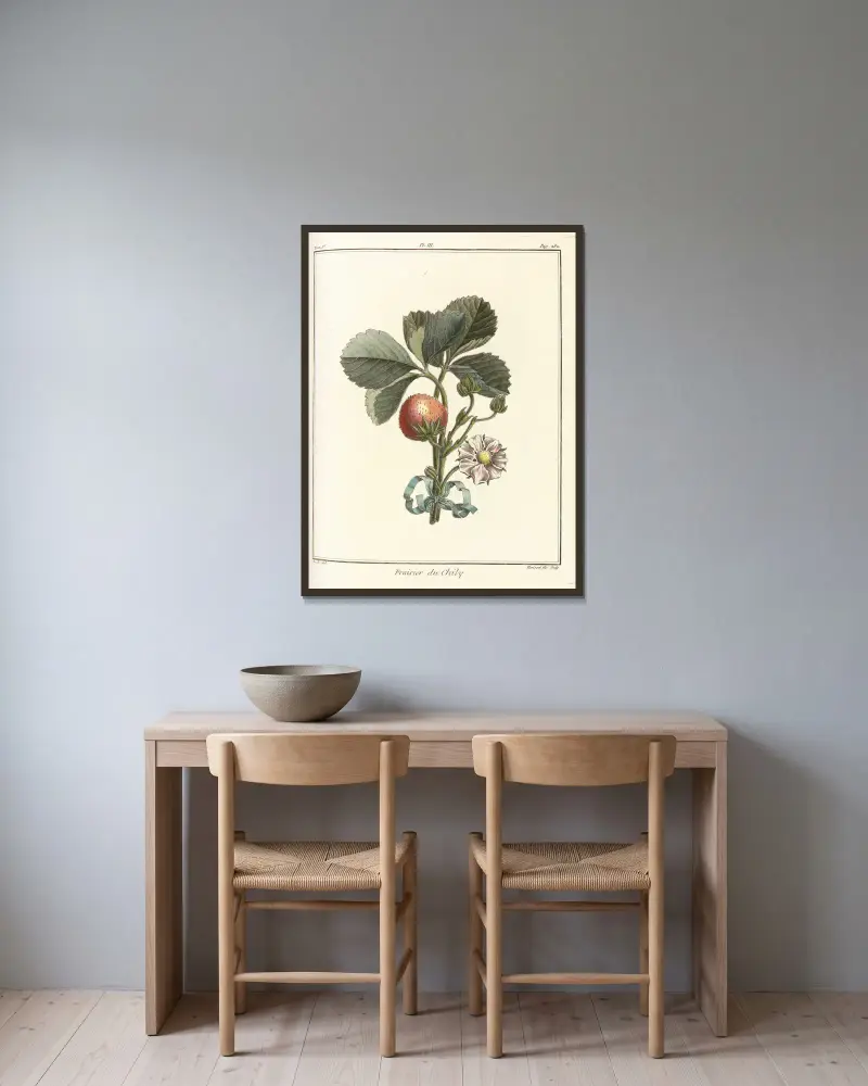 Traité des arbres fruitiers Pl.33 av Henri-Louis Duhamel du Monceau inramad på en vägg