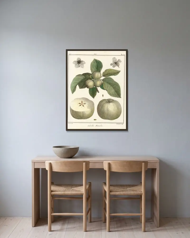 Traité des arbres fruitiers Pl.43 av Henri-Louis Duhamel du Monceau inramad på en vägg