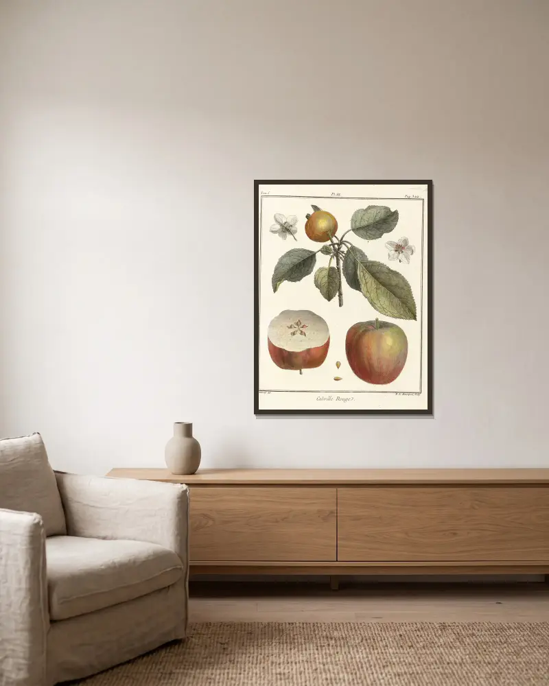 Traité des arbres fruitiers Pl.44 av Henri-Louis Duhamel du Monceau inramad på en vägg