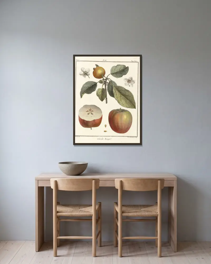 Traité des arbres fruitiers Pl.44 av Henri-Louis Duhamel du Monceau inramad på en vägg
