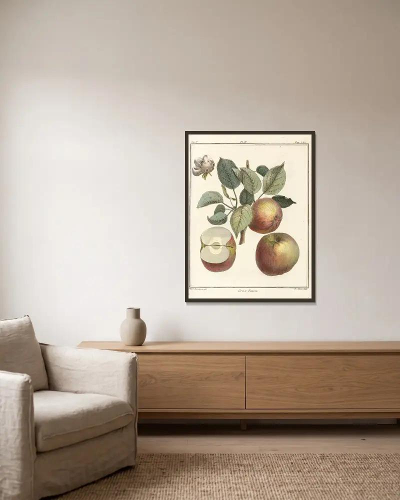 Traité des arbres fruitiers Pl.45 av Henri-Louis Duhamel du Monceau inramad på en vägg