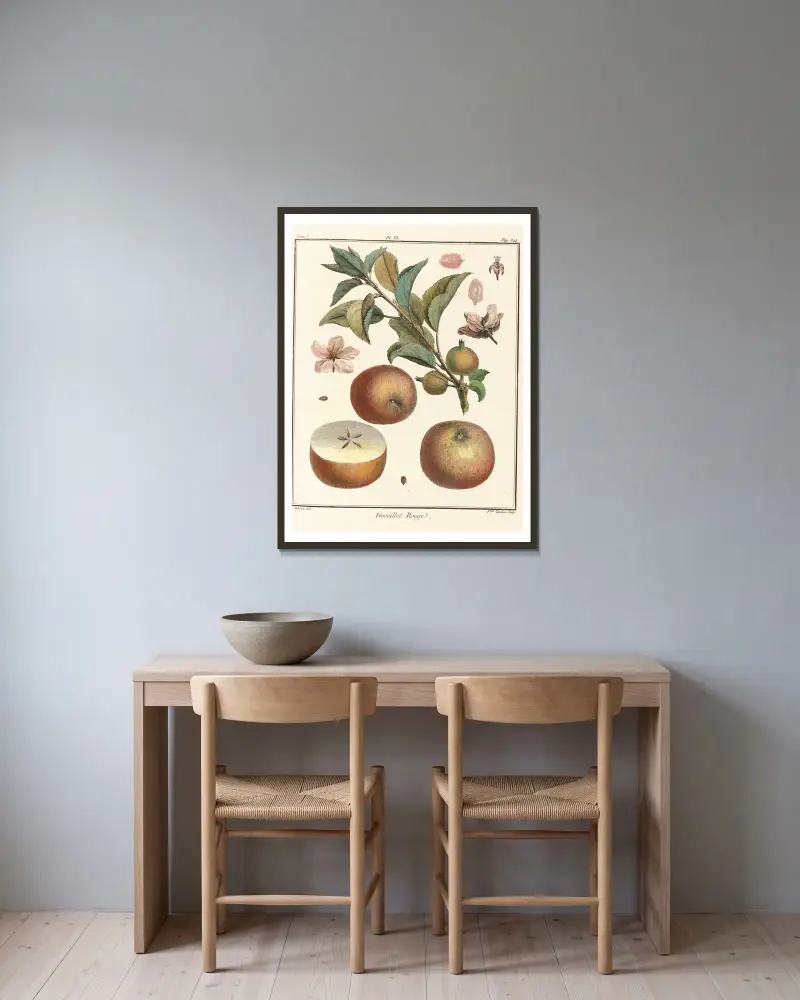 Traité des arbres fruitiers Pl.47 av Henri-Louis Duhamel du Monceau inramad på en vägg