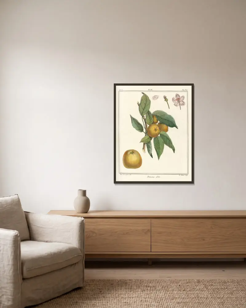 Traité des arbres fruitiers Pl.48 av Henri-Louis Duhamel du Monceau inramad på en vägg