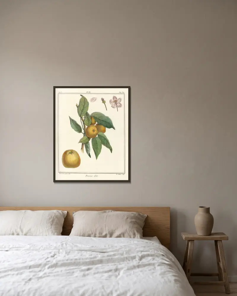 Traité des arbres fruitiers Pl.48 av Henri-Louis Duhamel du Monceau inramad på en vägg