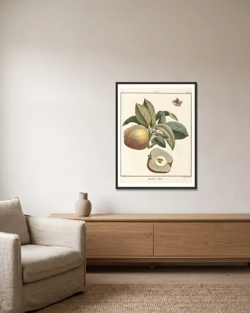 Traité des arbres fruitiers Pl.49 av Henri-Louis Duhamel du Monceau inramad på en vägg